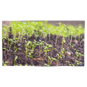 発芽草 枕カバー (正面)