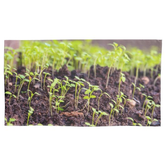 発芽草 枕カバー (正面)