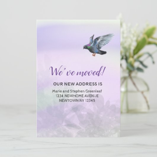 発表は感動的だ 案内状 (スタンド正面)