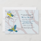 発表を動かしている雪の鳥 案内状 (正面)