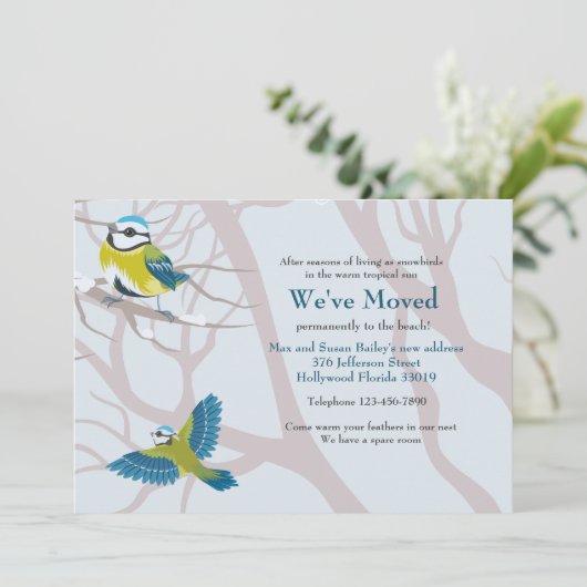 発表を動かしている雪の鳥 案内状 (スタンド正面)