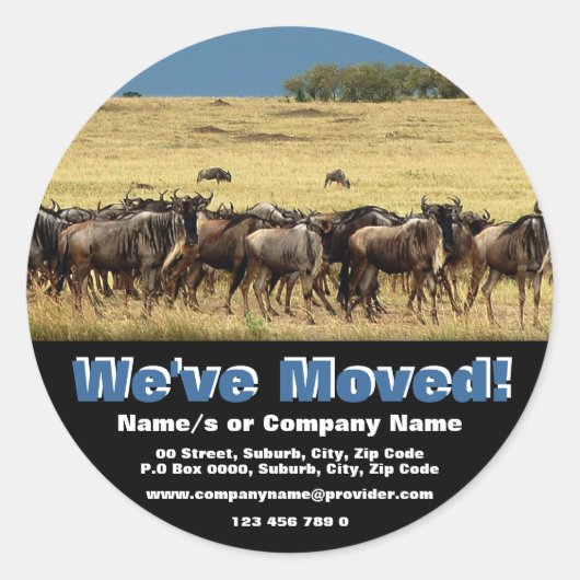 発表を移動 ラウンドシール (正面)