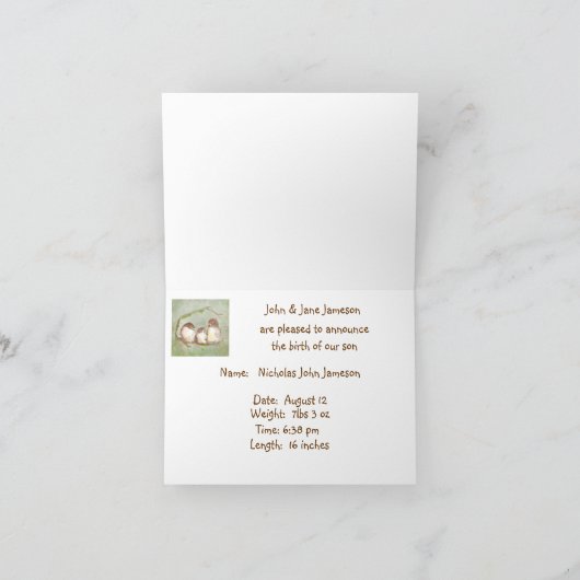 発表新生児少年かわいい鳥の家族 案内状 (内部)