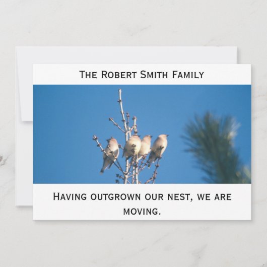 発表 – 私たちの巣を成長させた… 案内状 (正面)