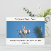 発表 – 私たちの巣を成長させた… 案内状 (スタンド正面)