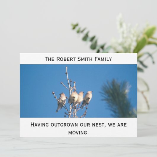 発表 – 私たちの巣を成長させた… 案内状 (スタンド正面)