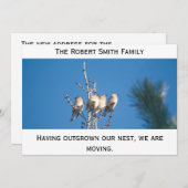 発表 – 私たちの巣を成長させた… 案内状 (正面/裏面)