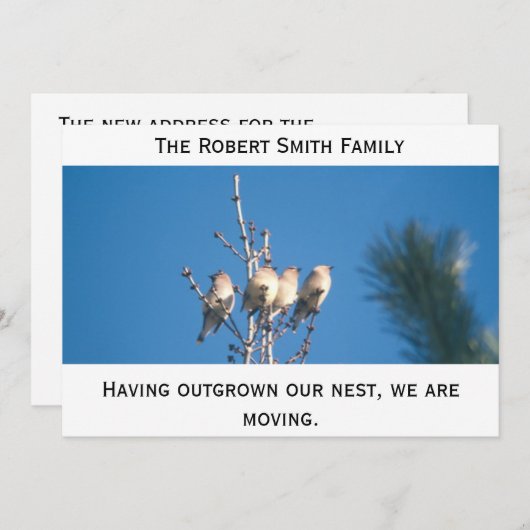 発表 – 私たちの巣を成長させた… 案内状 (正面/裏面)