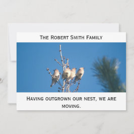 発表 – 私たちの巣を成長させた… 案内状