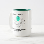 発見される尿素周期の最初新陳代謝周期 ツートーンマグカップ (正面左)