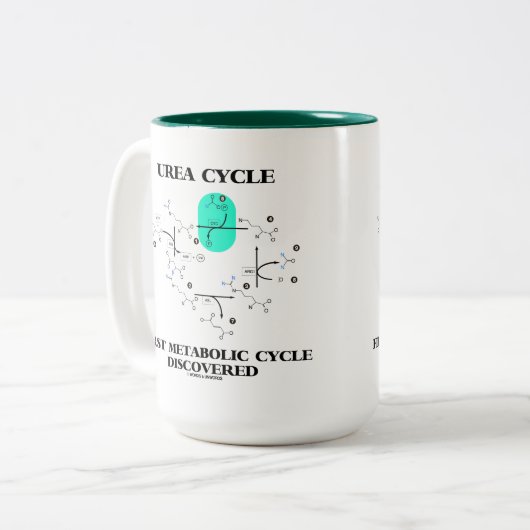 発見される尿素周期の最初新陳代謝周期 ツートーンマグカップ (正面左)
