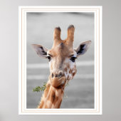 発見される ポスター (正面)