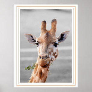 発見される ポスター