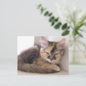 登利 ポストカード (スタンド正面)