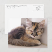 登利 ポストカード (正面/裏面)