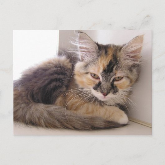 登利 ポストカード (正面)