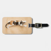 登山のさらさの子ネコ ラゲッジタグ (正面横)