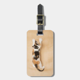 登山のさらさの子ネコ ラゲッジタグ