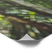 登山の木 ポスター (角)