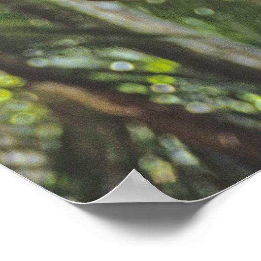 登山の木 ポスター (角)