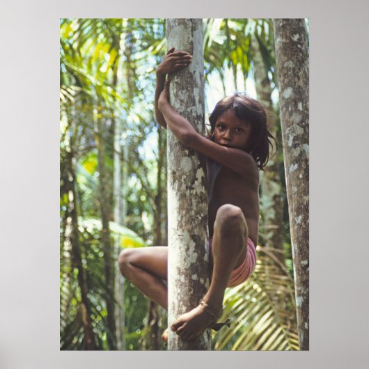 登山の木 ポスター (正面)