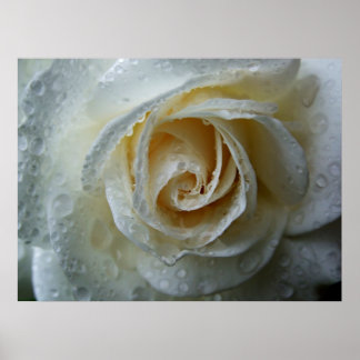 登山アイスバーグローザ ポスター