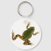 登山アリゾナの木のカエルの白い上の写真 キーホルダー (正面)