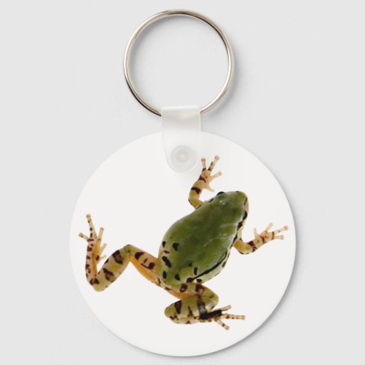 登山アリゾナの木のカエルの白い上の写真 キーホルダー (正面)
