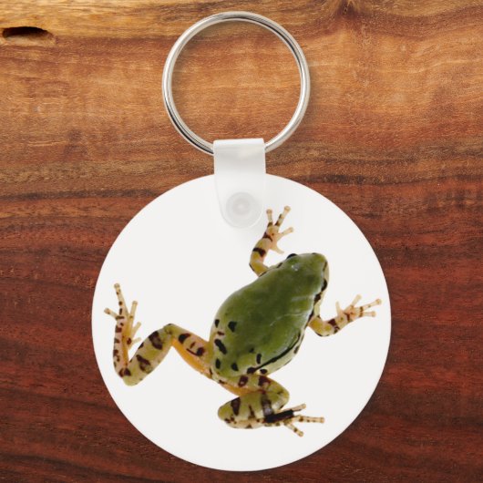 登山アリゾナの木のカエルの白い上の写真 キーホルダー (正面)