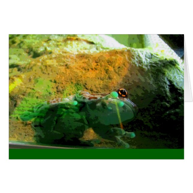 登山カエルCB (正面横)