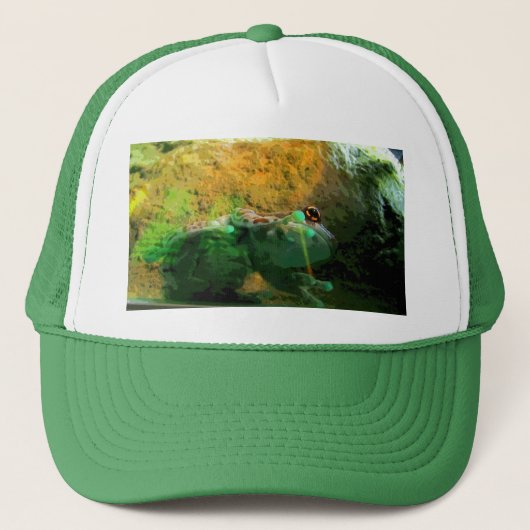 登山カエルCB キャップ (正面)