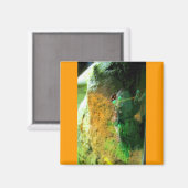 登山カエルCB マグネット (正面/裏面)