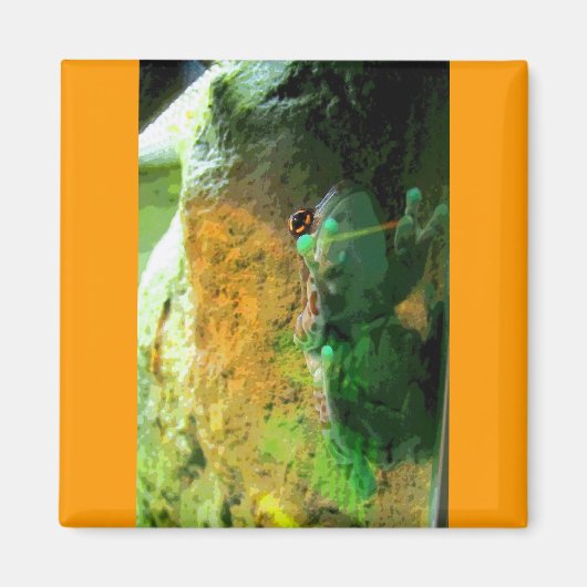 登山カエルCB マグネット (正面)