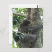 登山スロット葉書 ポストカード (正面/裏面)