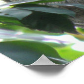 登山スロースのポスター ポスター (角)