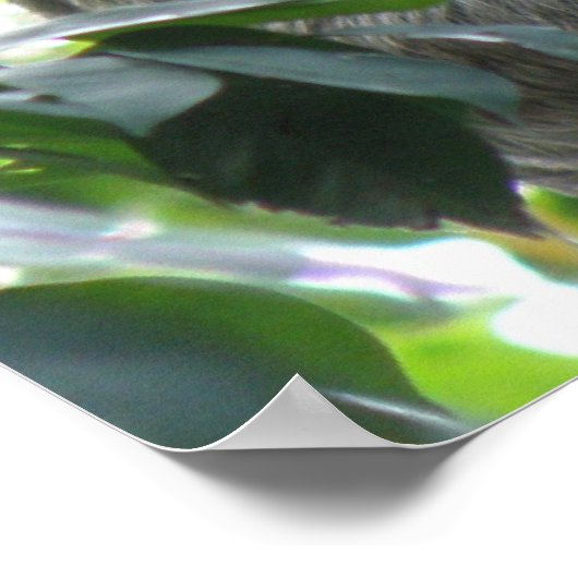 登山スロースのポスター ポスター (角)