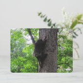 登山ハイフラットホリデーカード シーズンカード (スタンド正面)