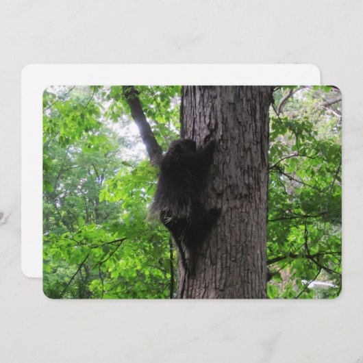 登山ハイフラットホリデーカード シーズンカード (正面/裏面)