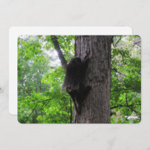 登山ハイフラットホリデーカード