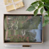 登山バラアーチエリザベスパークガーデンハートフォード 薄葉紙 (ギフト)