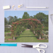 登山バラアーチエリザベスパークガーデンハートフォード 薄葉紙 (クラフト)