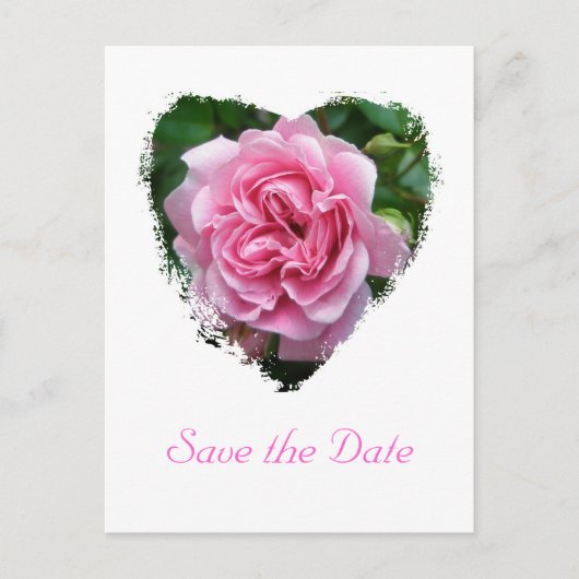 登山バラ調整項目 案内ポストカード (正面)