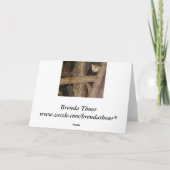 登山パンダ誕生日カード カード (裏面)