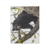 登山ブラックベア ノートパッド (回転)