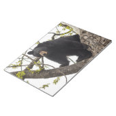 登山ブラックベア ノートパッド (アングル)