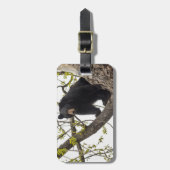 登山ブラックベア ラゲッジタグ (正面縦)