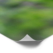 登山ベアークブ ポスター (角)