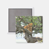 登山ライオン マグネット (正面/裏面)