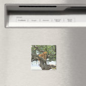 登山ライオン マグネット (インサイチュ (食洗機))