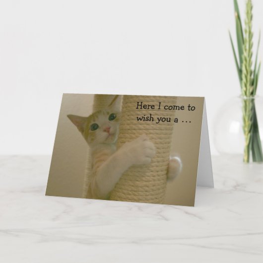 登山猫が付いているおもしろいなバースデー・カード カード (正面)